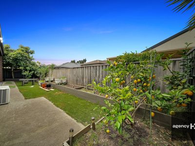 18 Lamington Drive, Tarneit