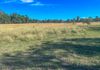 14592 Bruxner Way, Texas