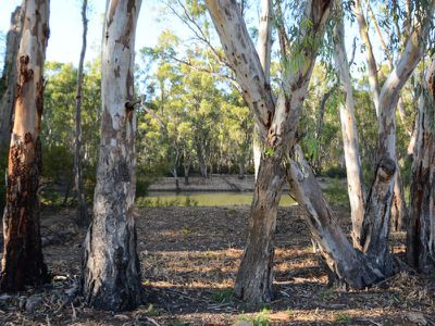 Riverview Drive, Barham