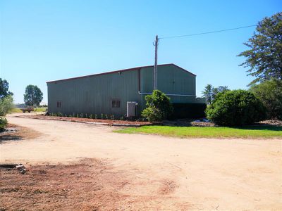 Kingaroy