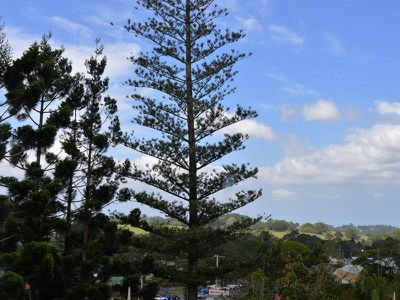 Lot 1 Cedar Street, Maleny