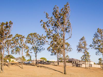 1 Wallum Close, Kingaroy