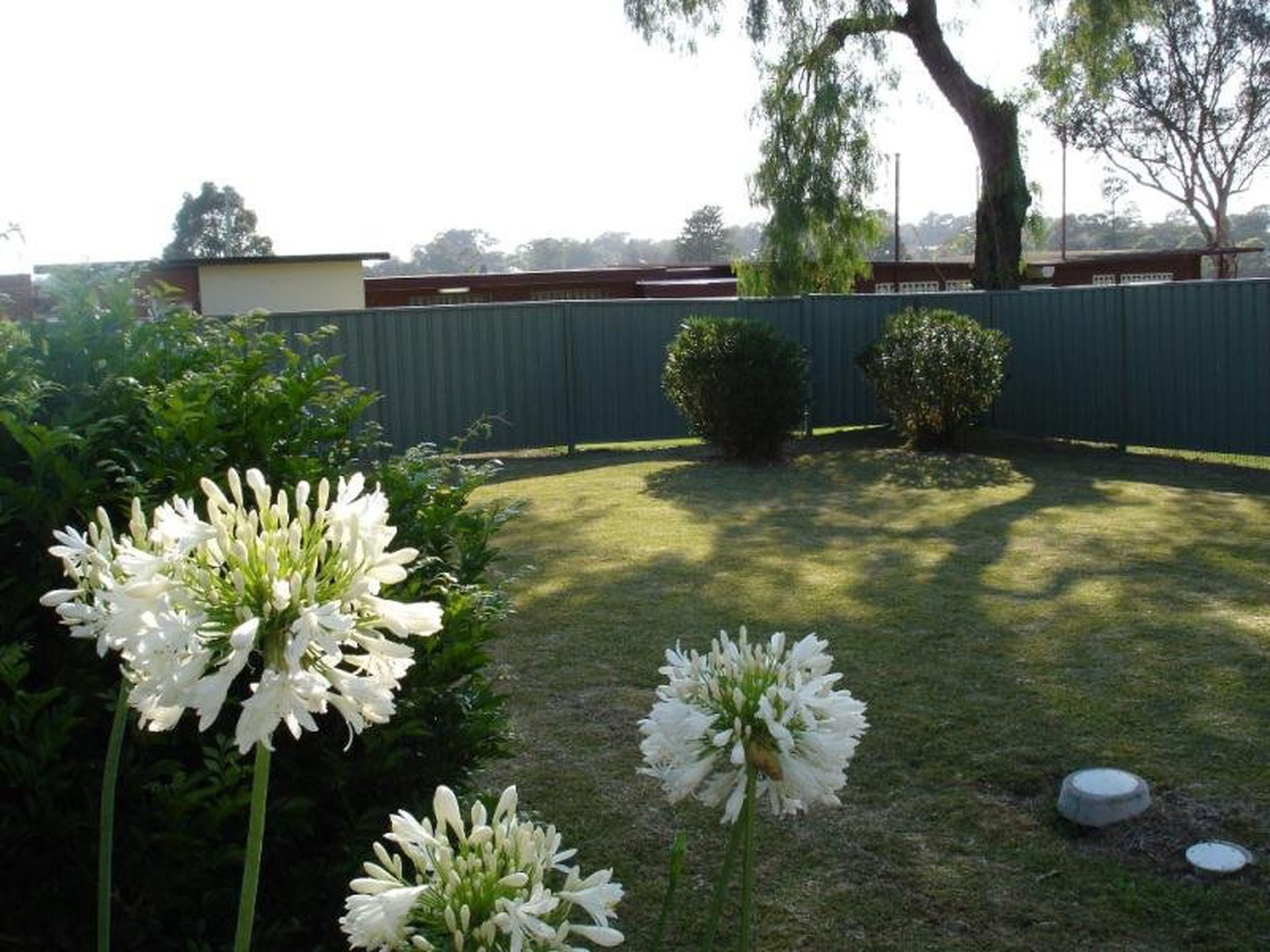 39 Avoca Street, Yagoona