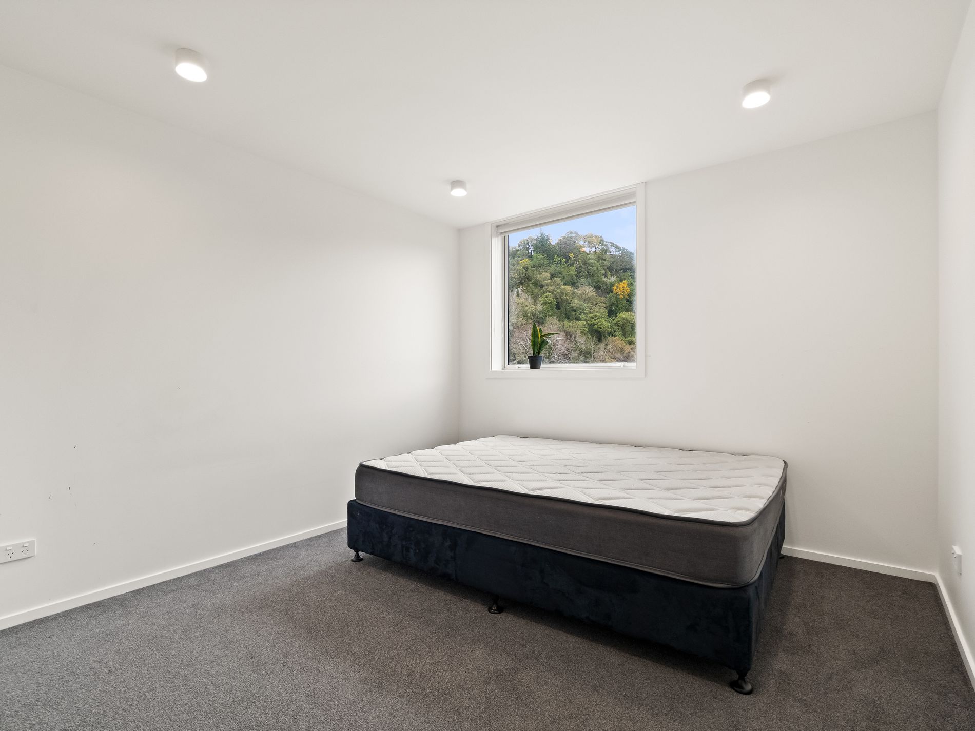 3 / 33 Malvern Street, Woodhaugh