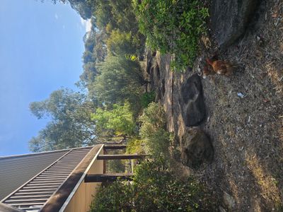 215 Hardinghams Road, Bungalally