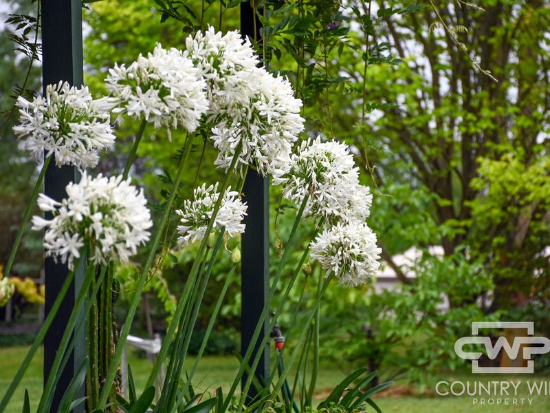 48 Cramsie Crescent, Glen Innes