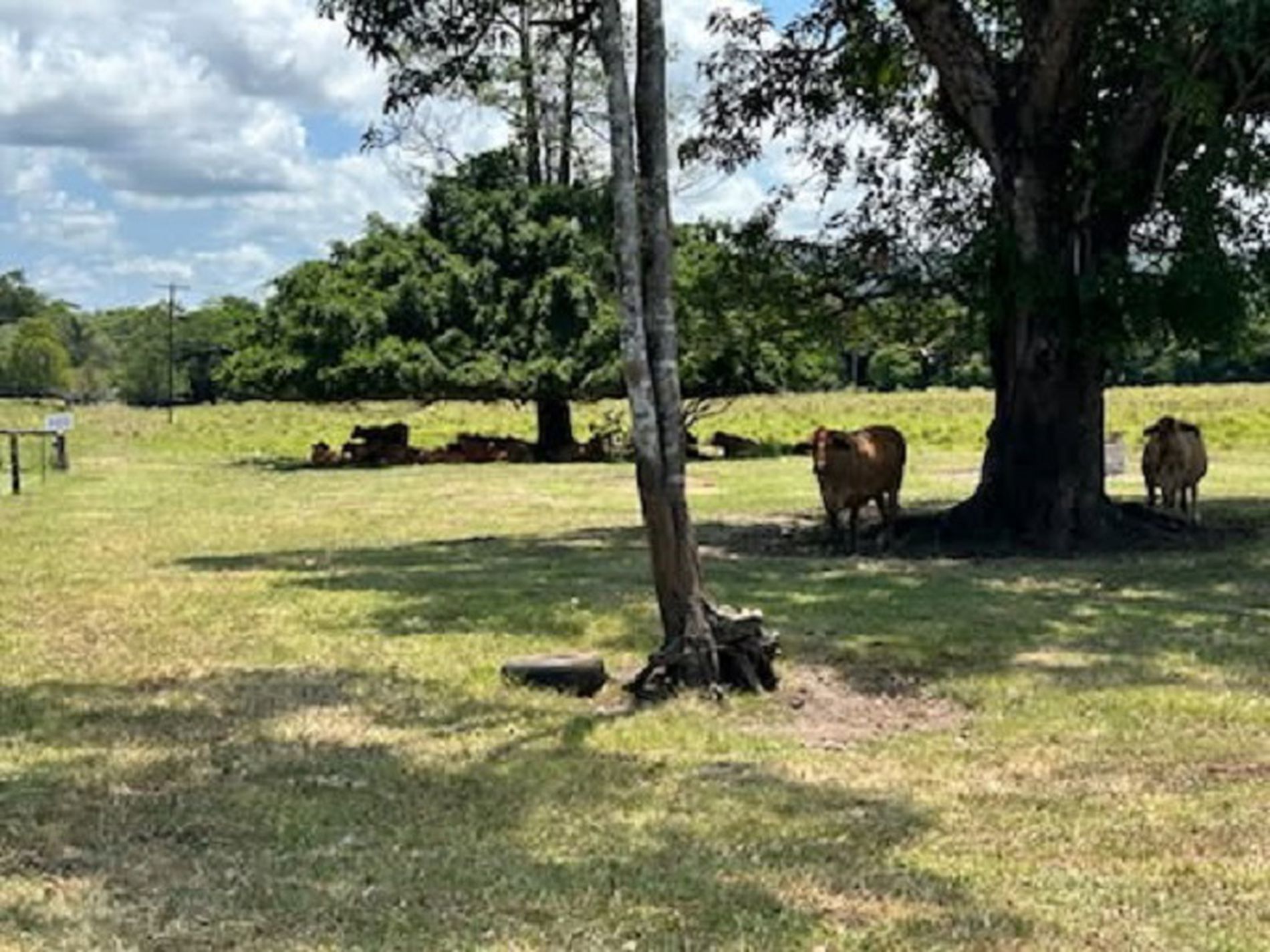 0 Bruce Highway, Sandy Pocket