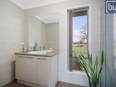 499 Culcairn Holbrook Road, Holbrook