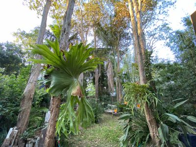 18 Redgate Road, South Golden Beach