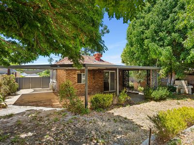 28 Dorothy Street, Ashfield