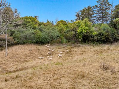 592 Kanohi Road, Kaukapakapa