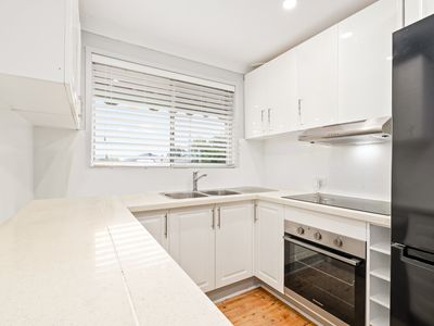 13 Wembley Avenue, Cambridge Park