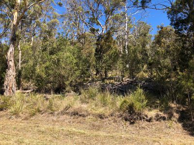 Lot 1, Turn Creek Road, Grove