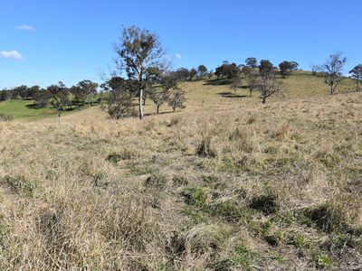 489 Inn Road, Ben Lomond