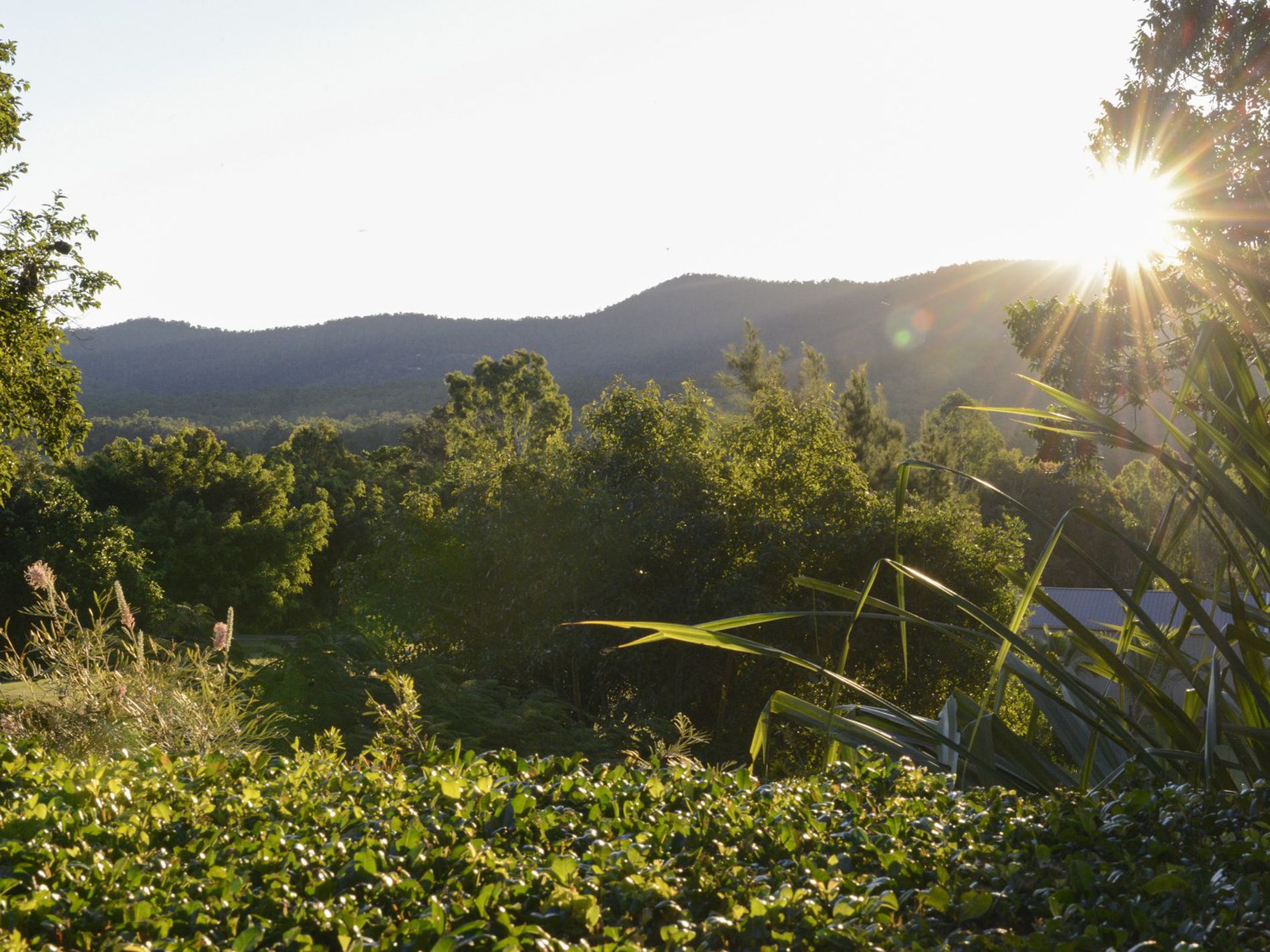 45 Kookaburra Drive, Cannonvale