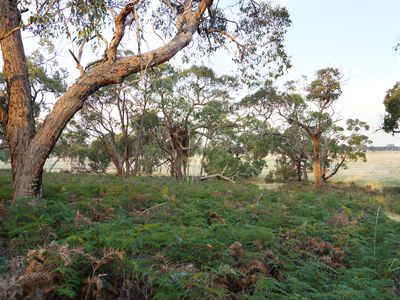 Lot 6, John McPhees Drive, Toolondo