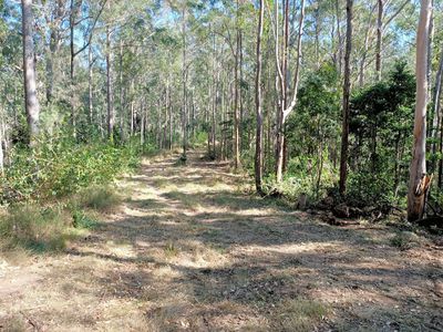 702 Comboyne Road, Byabarra