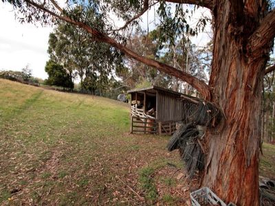 156 Dillons Hill Road, Glaziers Bay