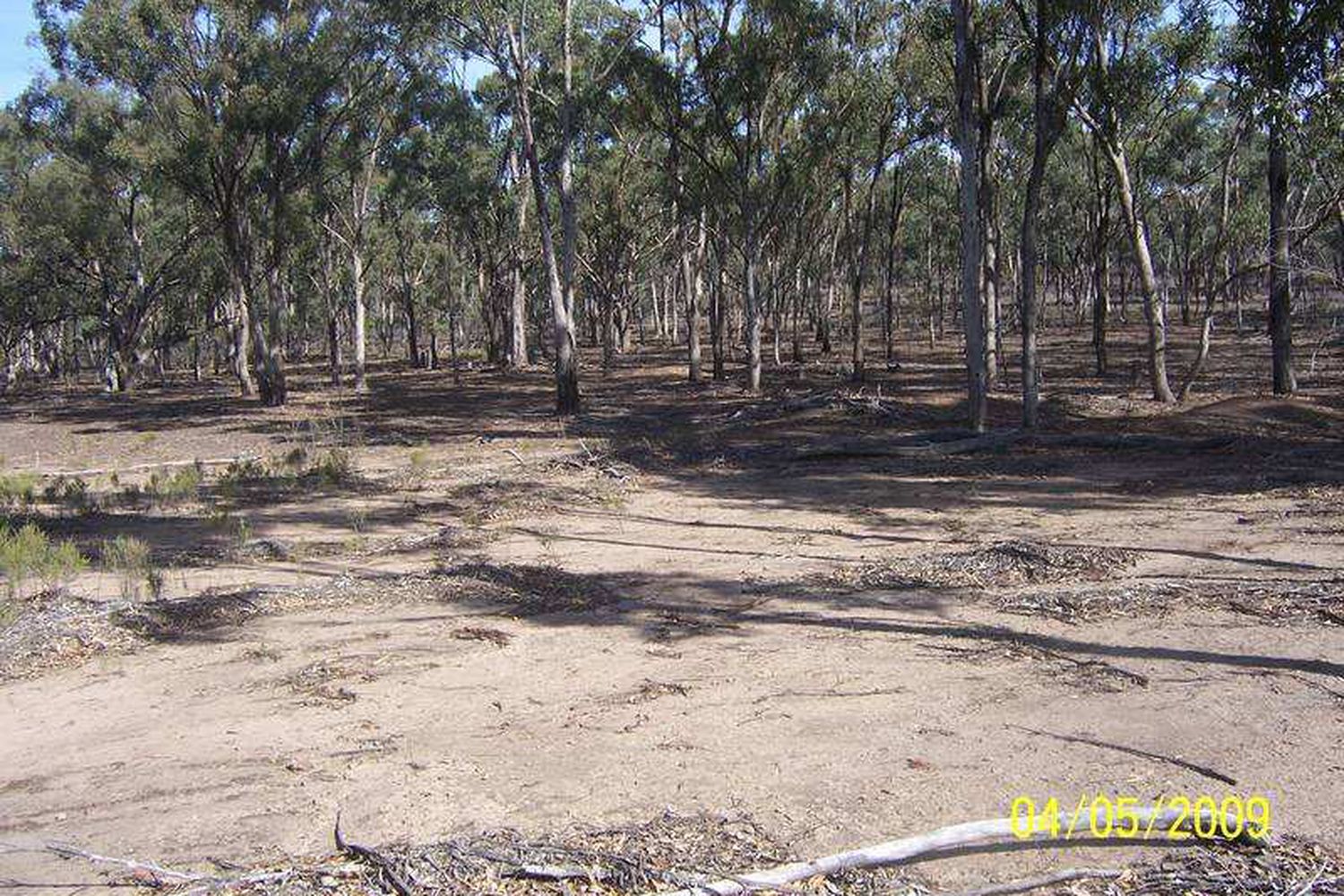 Willows Road, Murchison