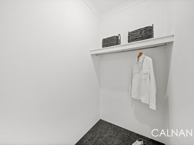 86 JUBILEE AVENUE, Success