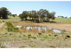 142 Darcy Brown Place, Orange