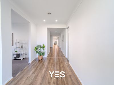 8 Godfrey Avenue, Cranbourne East