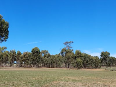 93 Axedale Quarry Road, Axedale