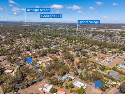 6 Peake Court, Ascot