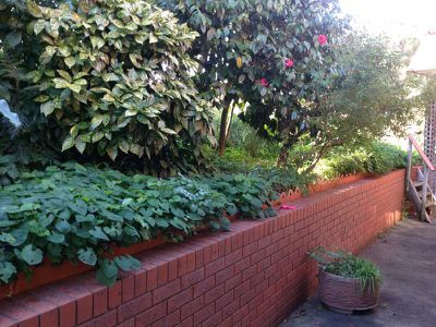 7 Teasdale Court, Highton