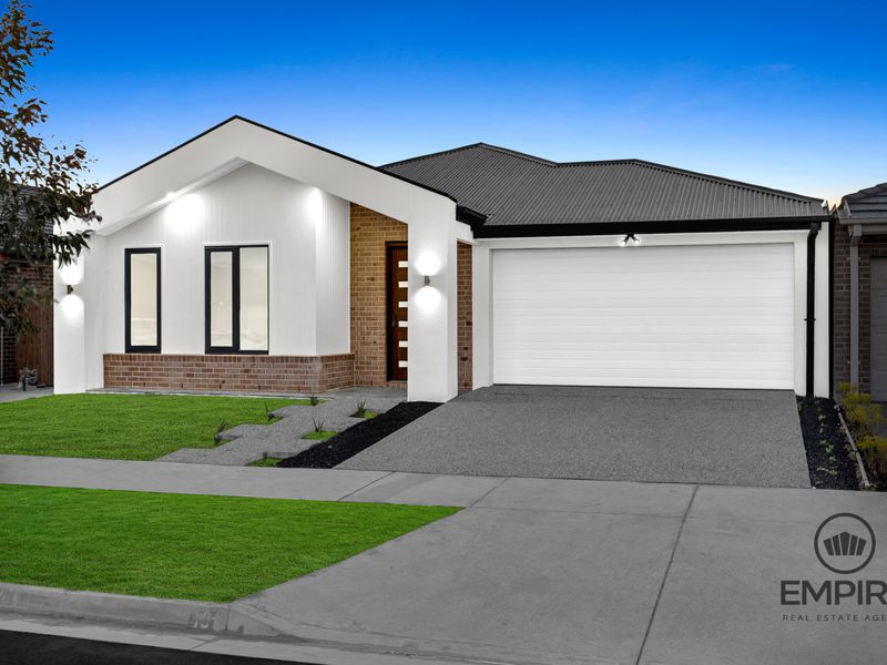 19 Heifer Avenue, Clyde North