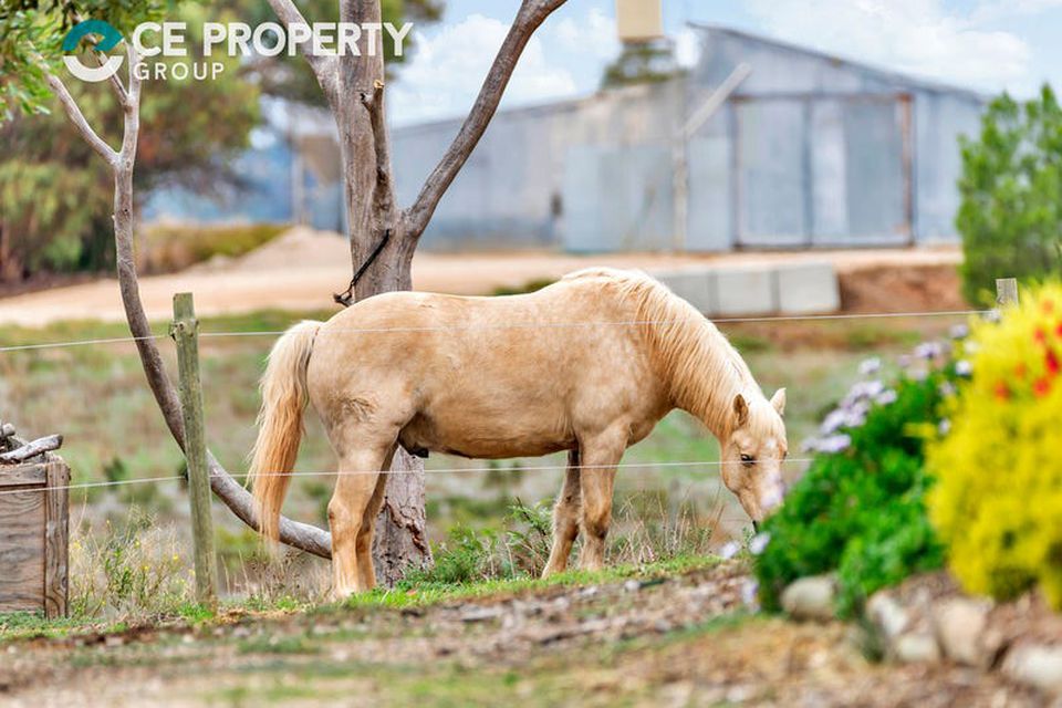 3 Pilmore Road, Murray Bridge