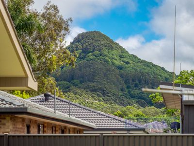 11 Avocado Court, Mullumbimby