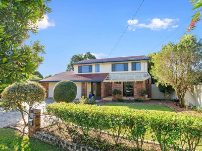 3 Pinedale Court, Rochedale South