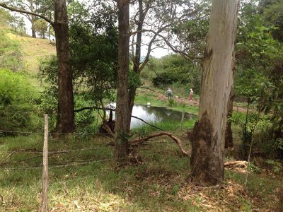 345 Harpers Creek Rd , Maleny