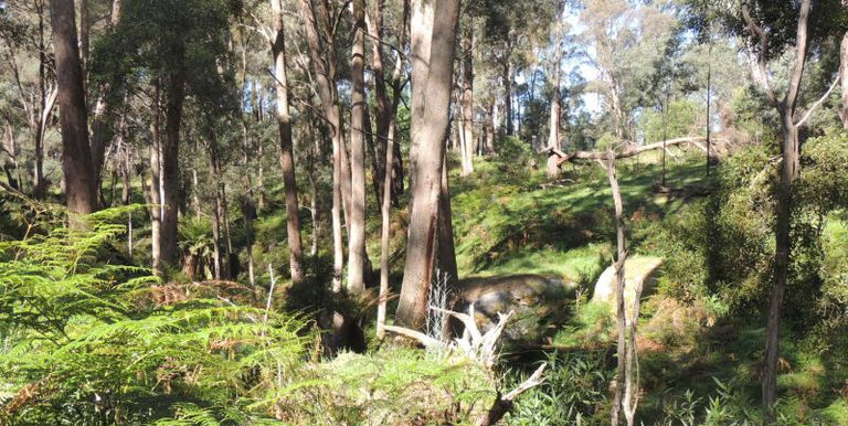 11 / Tames Road, Strathbogie