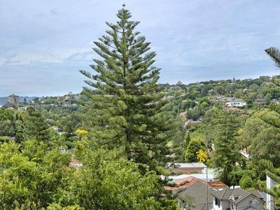 12A Chester St, Woollahra