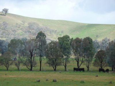 Cheesleys Road, Indigo Valley