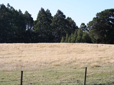 256 Lightwood Creek Road, Glen Huon
