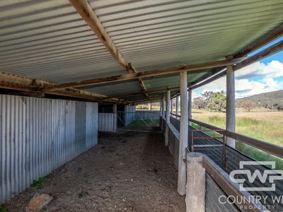 Lot 241, 243, 2202 Wellington Vale Road, Emmaville