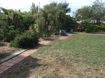 17 Lorikeet Ave, Woodgate