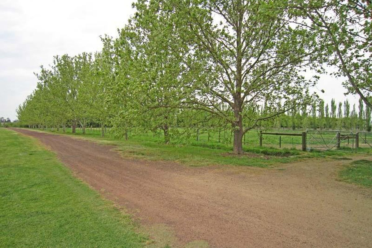 55 Howards Lane, Kyabram