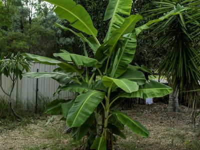 198 Burkes Road, Booie