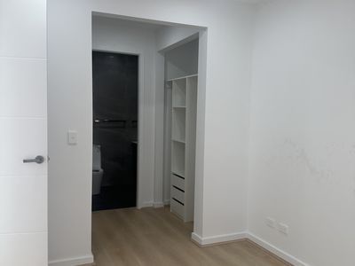 41 Rowcliff Circuit, Lochinvar