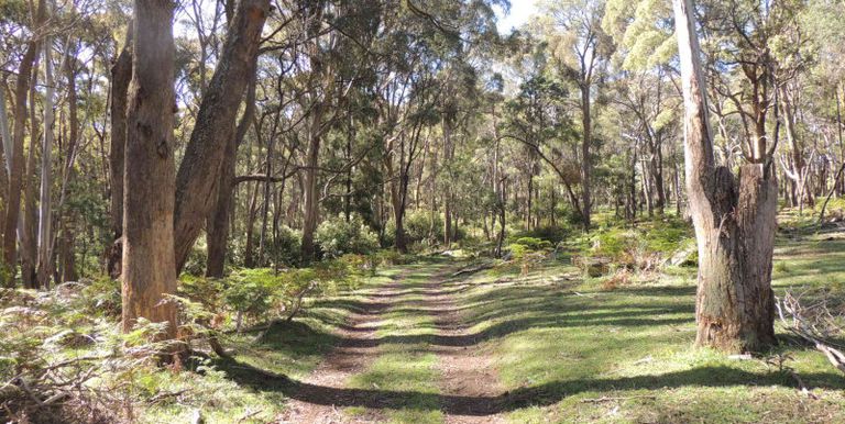 11 / Tames Road, Strathbogie