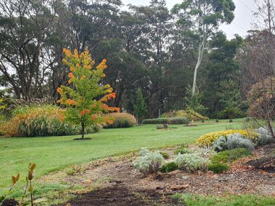 1261 Sheepwash Road, Fitzroy Falls