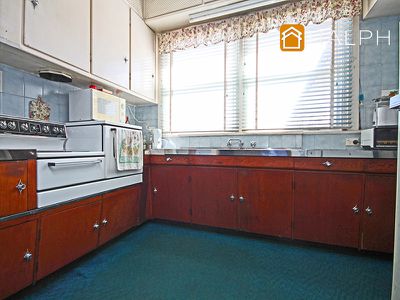 295 Lakemba Street, Wiley Park