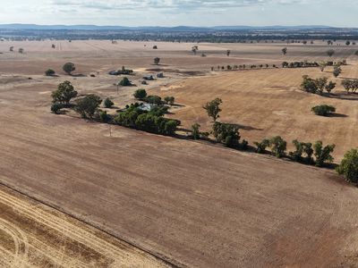 342 Olieview Road, Parkes
