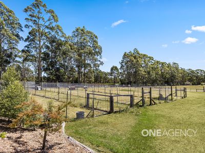 240 Albatross Road, Nowra Hill