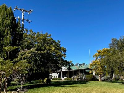 4570 Black Stump Way, Coolah