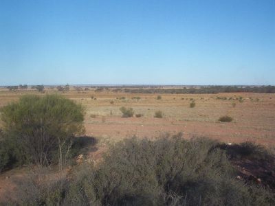 3282 / Rabbit Proof Fence, Burracoppin